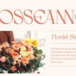 AO Mireille Font - Featured Image