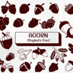 Acorn Font - Featured Image