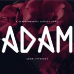 Adam Font - Featured Image
