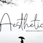 Aesthetic Font - Featured Image