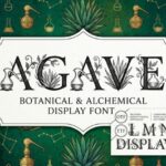 Agave Font - Featured Image