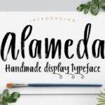 Alameda Font - Featured Image