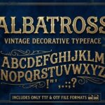 Albatross Font - Featured Image