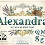 Alexandra Font - Featured Image