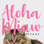 Aloha Miaw Font - Featured Image