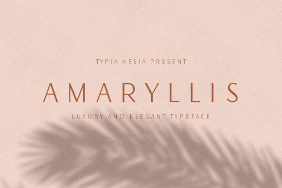 Amaryllis Font - Featured Image