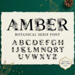 Amber Font - Featured Image