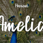Amelia Font - Featured Image