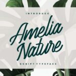 Amelia Nature Font - Featured Image