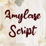 Amylase Script Font - Featured Image