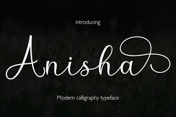 Anisha Font - Featured Image