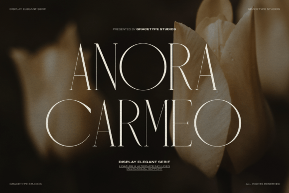 Anora Carmeo Font - Featured Image