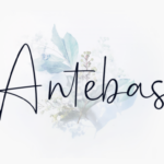 Antebas Font - Featured Image
