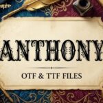 Anthony Font - Featured Image