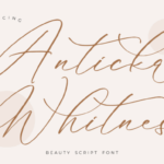 Anticka Whitnes Font - Featured Image