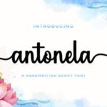 Antonela Font - Featured Image