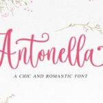 Antonella Font - Featured Image