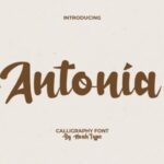 Antonia Font - Featured Image