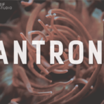 Antroni Font - Featured Image