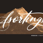 Asortings Script Font - Featured Image