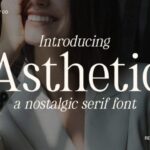 Asthetic Font - Featured Image