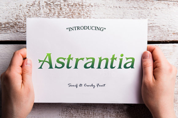 Astrantia Font - Featured Image