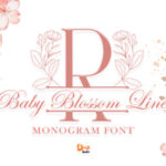 Baby Blossom Line Font - Featured Image