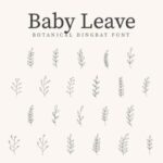 Baby Leave Font - Featured Image