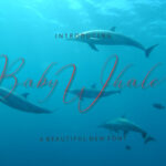 Baby Whale Font - Featured Image