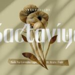 Bactaviya Font - Featured Image