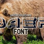 Baer Font - Featured Image