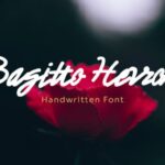 Bagitto Herros Font - Featured Image