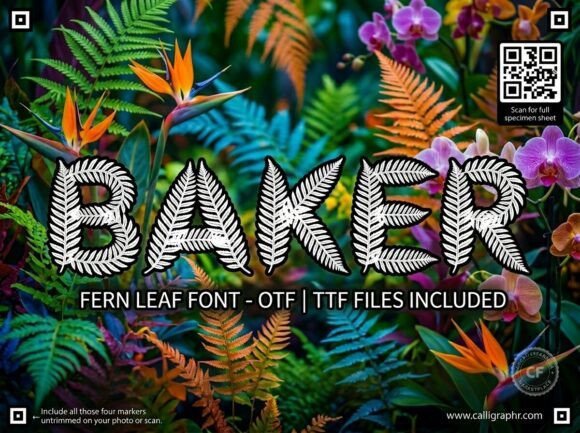 Baker Font - Featured Image