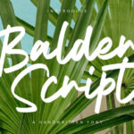 Balder Script Font - Featured Image
