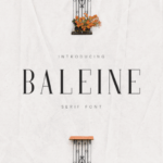 Baleine Font - Featured Image