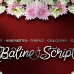 Baline Script Font - Featured Image