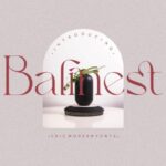 Balinest Font - Featured Image