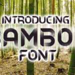 Bamboo Font - Featured Image