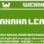 Banana Leaf Font - Featured Image