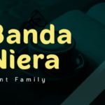 Banda Niera Font - Featured Image