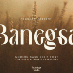 Banegsa Font - Featured Image