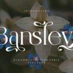 Bansley Font - Featured Image