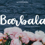 Barbala Font - Featured Image