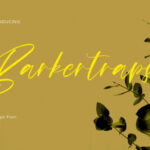 Barkertraps Font - Featured Image