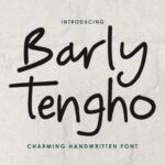 Barly Tengho Font - Featured Image