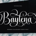 Baylena Font - Featured Image