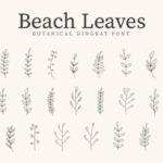 Beach Leaves Font - Featured Image