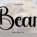 Bear Font - Featured Image