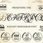 Beatrice Font - Featured Image