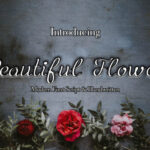 Beautiful Flower Font - Featured Image
